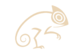 cropped logo png 1.png