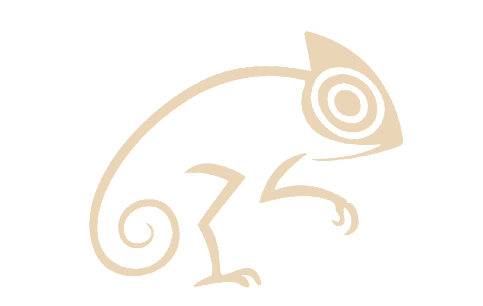 cropped logo png 1.png